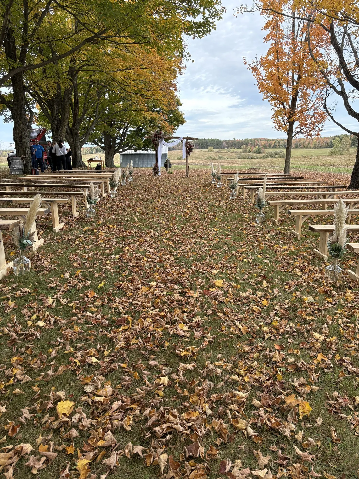Allée de cérémonie bordée de bancs en bois sous les arbres d’automne