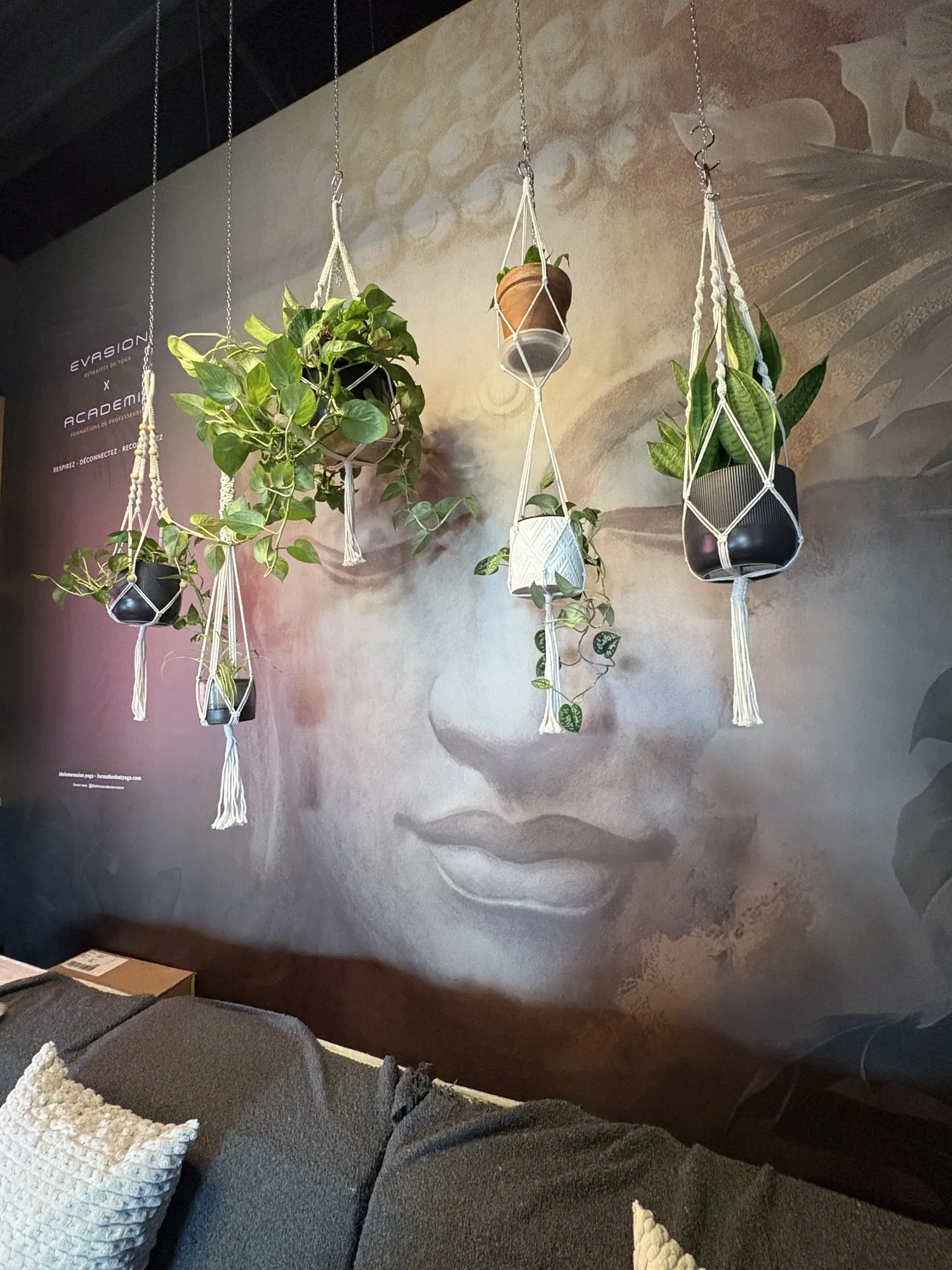 Murale en vinyle d’un visage dans les nuages, avec plantes suspendues en macramé